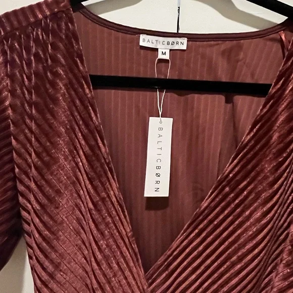 NWT Baltic born dress velvet - Picture 3 of 3